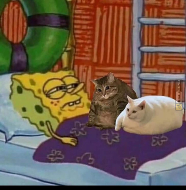 Śmieszny mem: 2827438 - MemLand