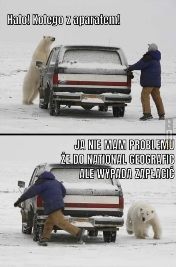 Śmieszny mem: 2828437 - MemLand