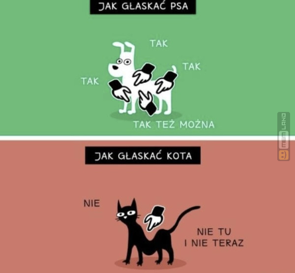 Śmieszny mem: 2842792 - MemLand