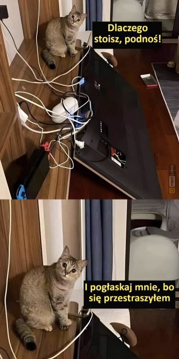 Śmieszny mem: 2856617 - MemLand