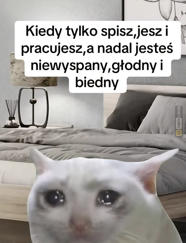 Śmieszny mem: 2856840 - MemLand