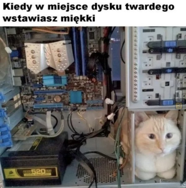 Śmieszny mem: 2864905 - MemLand