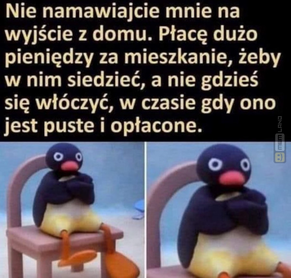 Śmieszny mem: 2866220 - MemLand