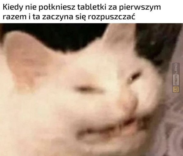 Śmieszny mem: 2870783 - MemLand