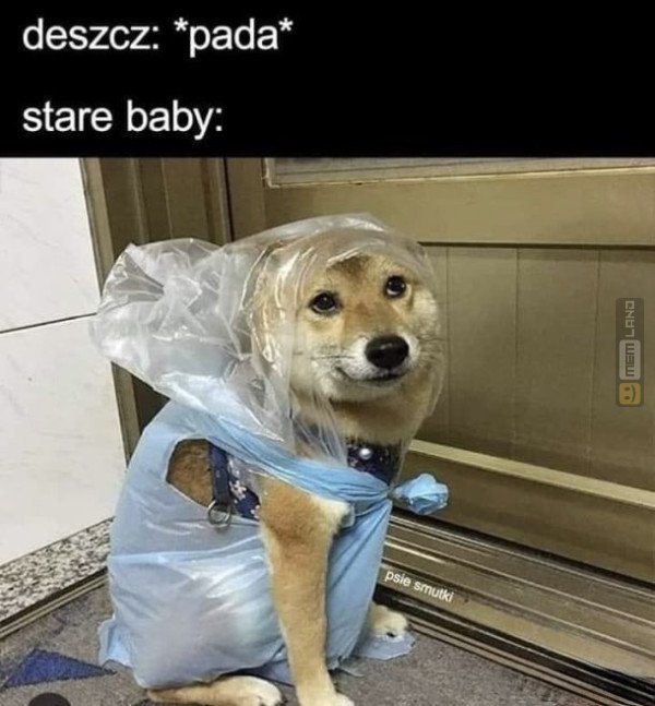 Śmieszny mem: 2878547 - MemLand