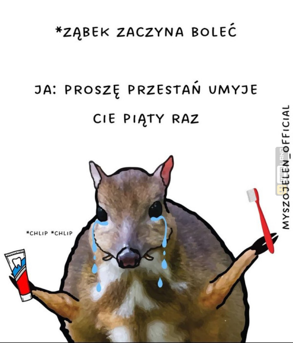 Śmieszny mem: 2878567 - MemLand