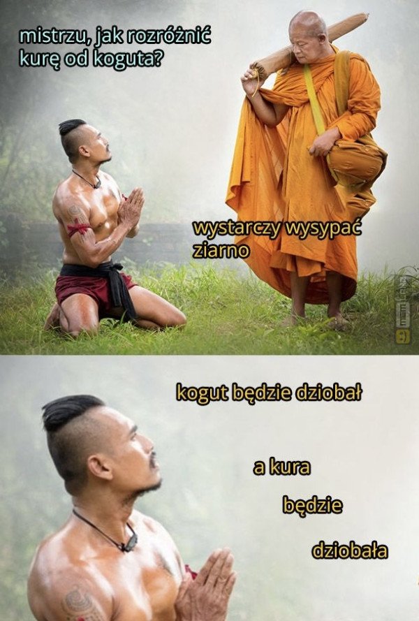 Śmieszny mem: 2880347 - MemLand