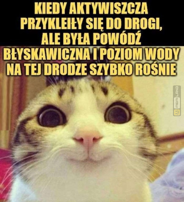 Śmieszny mem: 2881915 - MemLand