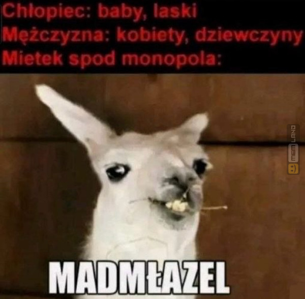 Śmieszny mem: 2886431 - MemLand