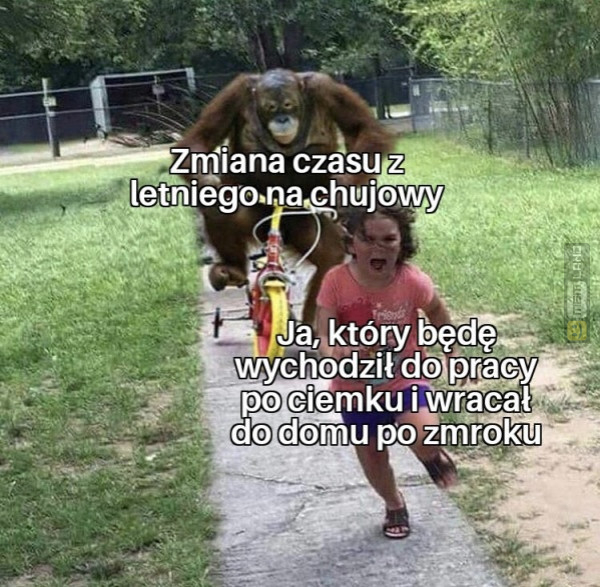 Śmieszny mem: 2887393 - MemLand