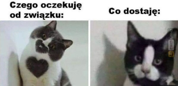 Śmieszny mem: 2888635 - MemLand