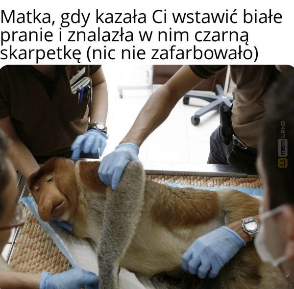 Śmieszny mem: 2891908 - MemLand