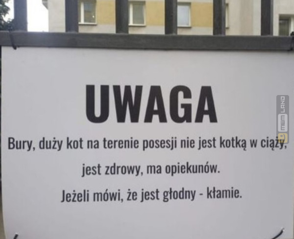 Śmieszny mem: 2905422 - MemLand