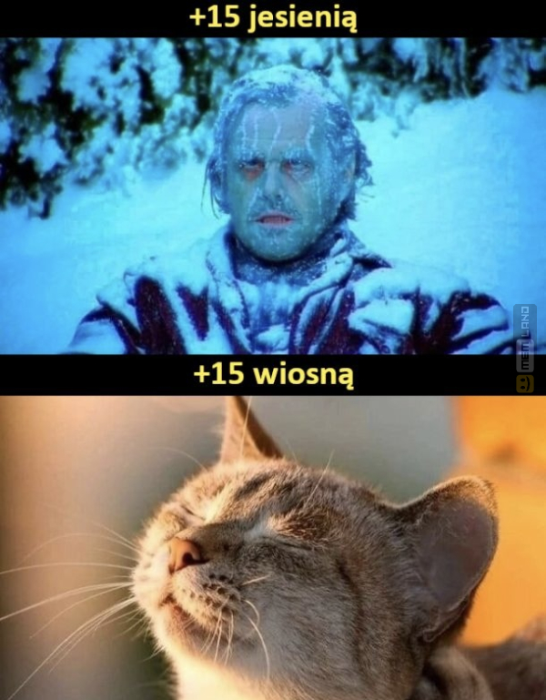 Śmieszny mem: 2906883 - MemLand