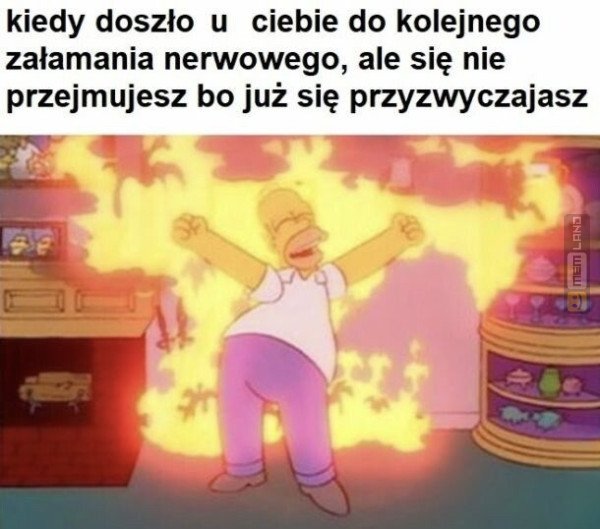 Śmieszny mem: 2907753 - MemLand