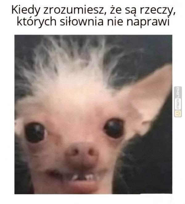 Śmieszny mem: 2915258 - MemLand