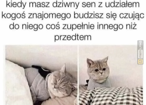 Śmieszny mem: 2919283 - MemLand