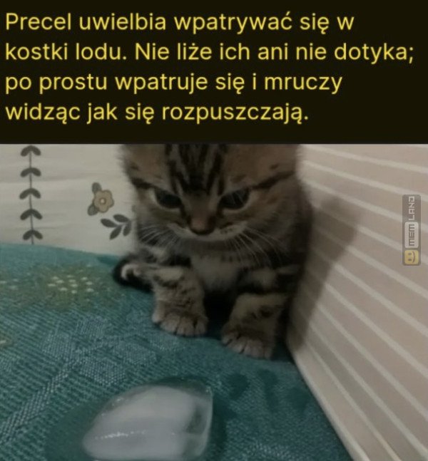 Śmieszny mem: 2922612 - MemLand