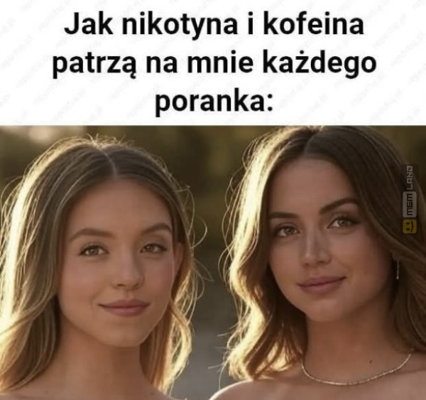 Śmieszny mem: 2931880 - MemLand