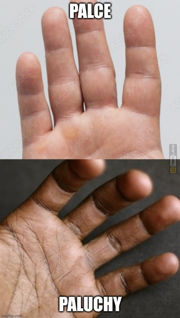 Śmieszny mem: 2938894 - MemLand