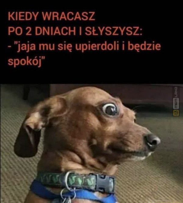 Śmieszny mem: 2942721 - MemLand