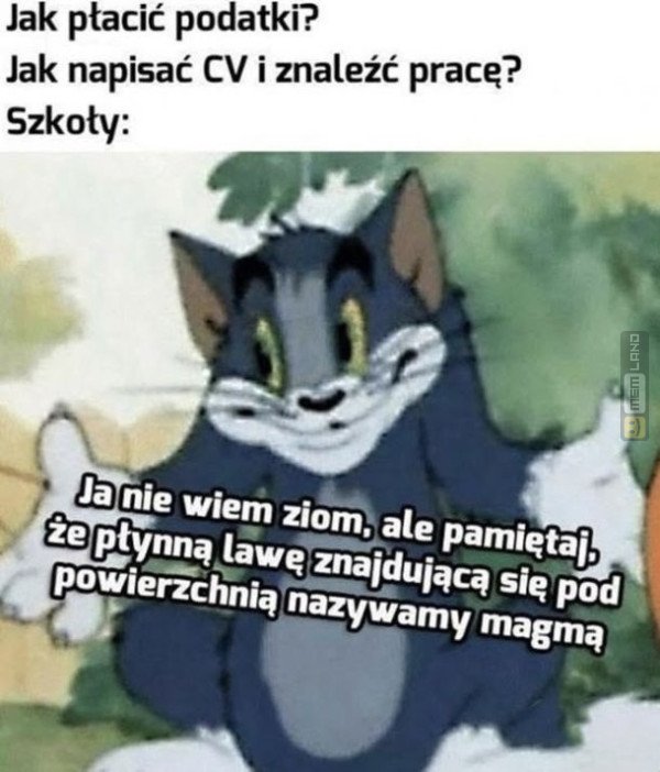 Śmieszny mem: 2944249 - MemLand