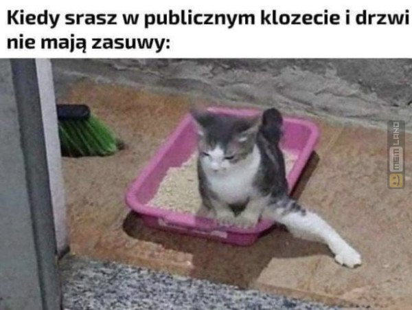 Śmieszny mem: 2955966 - MemLand