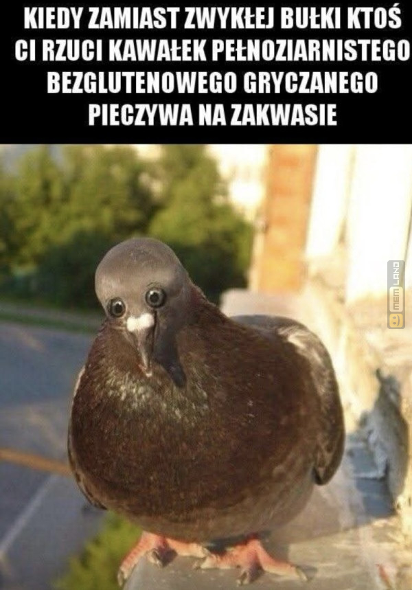 Śmieszny mem: 2957013 - MemLand