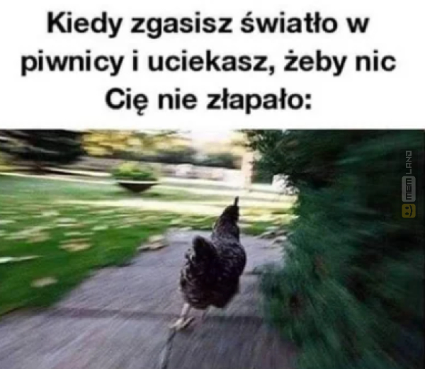 Śmieszny mem: 2958182 - MemLand