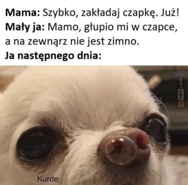 Śmieszny mem: 2961171 - MemLand