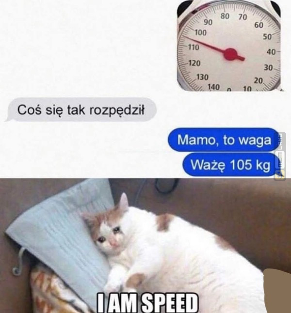 Śmieszny mem: 2962037 - MemLand