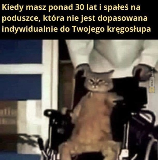 Śmieszny mem: 2966534 - MemLand