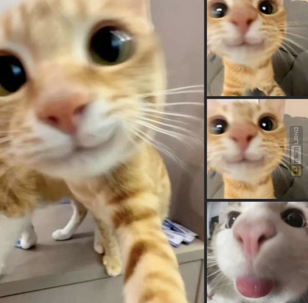 Śmieszny mem: 2966988 - MemLand