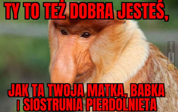 Śmieszny mem: 2977053 - MemLand