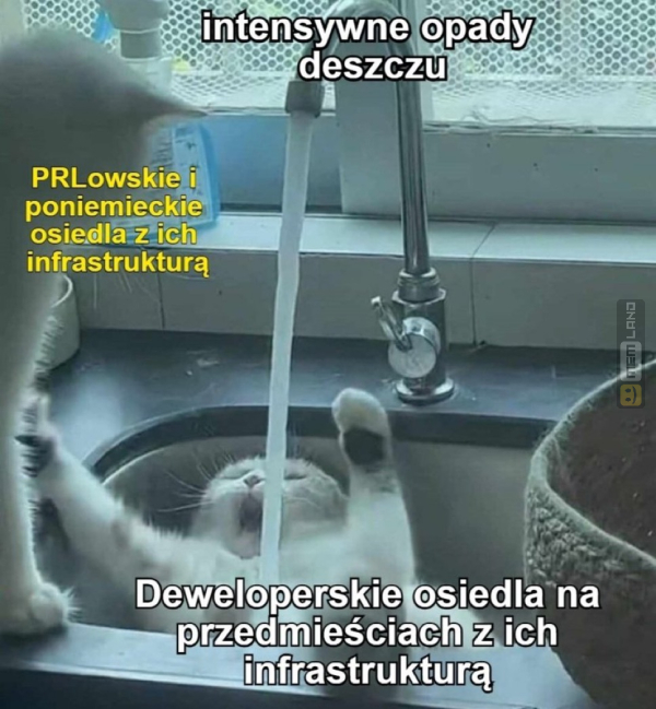 Śmieszny mem: 2979074 - MemLand