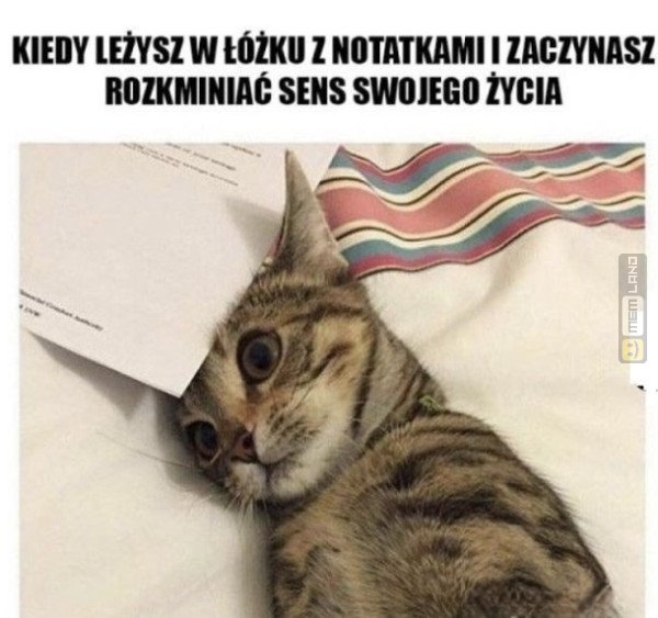 Śmieszny mem: 2980134 - MemLand