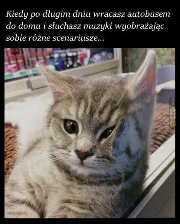 Śmieszny mem: 2980581 - MemLand