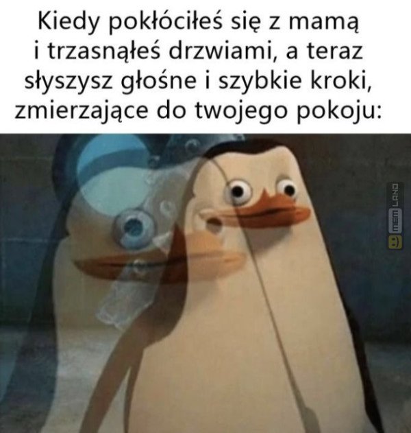 Śmieszny mem: 2980608 - MemLand
