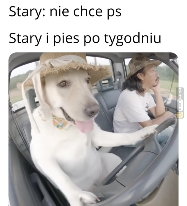 Śmieszny mem: 2983608 - MemLand