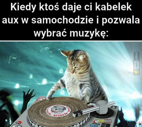 Śmieszny mem: 2991607 - MemLand