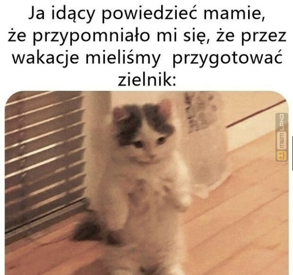Śmieszny mem: 2993894 - MemLand