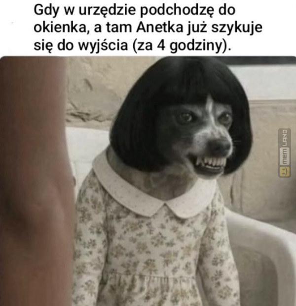 Śmieszny mem: 2999893 - MemLand