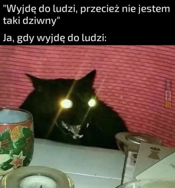 Śmieszny mem: 3021490 - MemLand