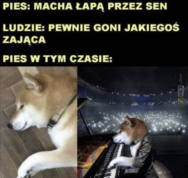 Śmieszny mem: 3022702 - MemLand