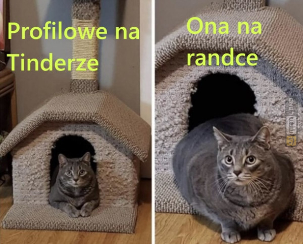 Śmieszny mem: 3032378 - MemLand