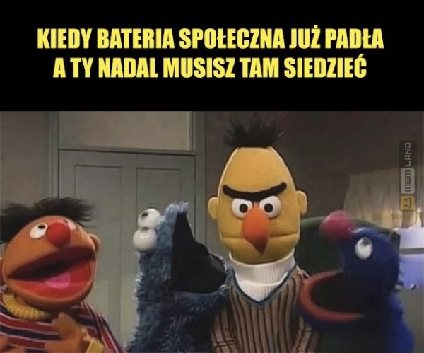 Śmieszny mem: 3038379 - MemLand