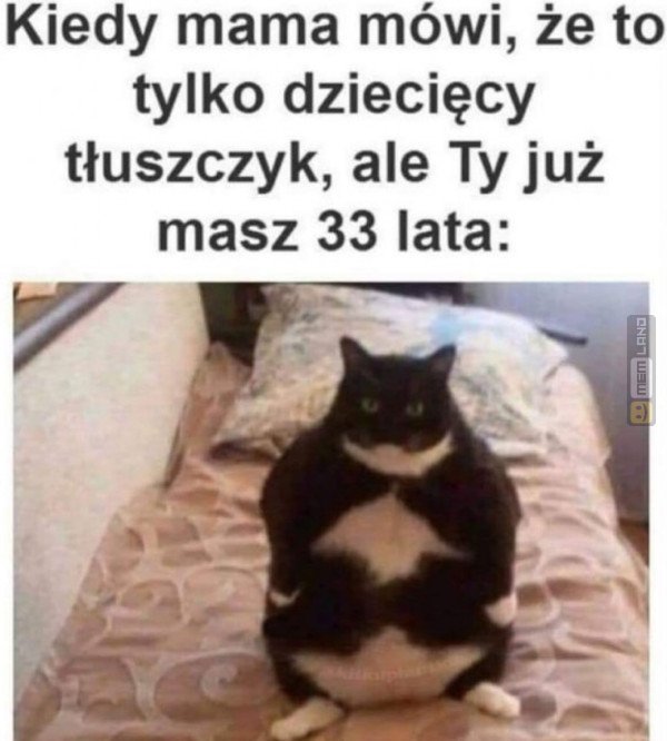 Śmieszny mem: 3041413 - MemLand