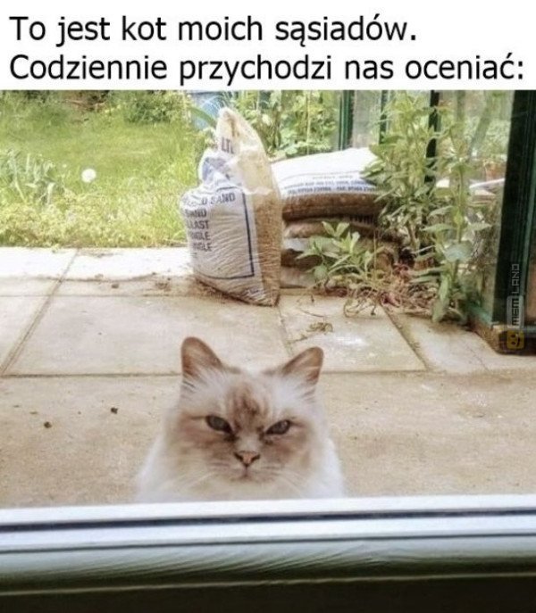 Śmieszny mem: 3041748 - MemLand