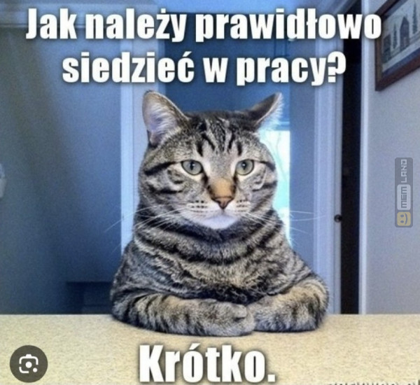 Śmieszny mem: 3046734 - MemLand