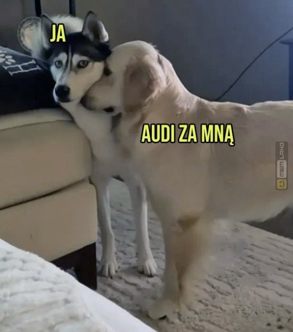 Śmieszny mem: 3049507 - MemLand